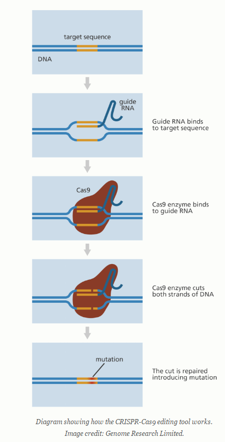 crspr_cas9
